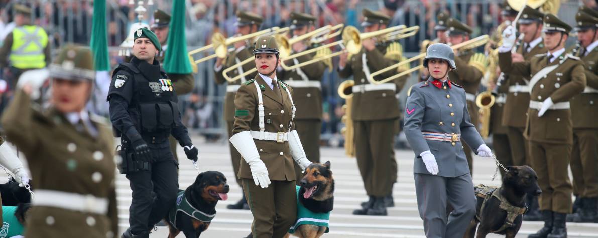 12.carabineros-parada-militar