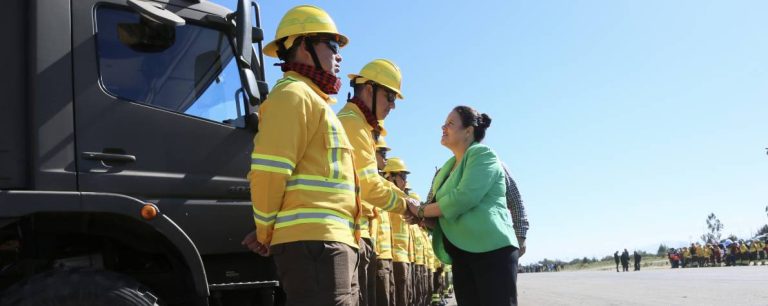 3.ministra-fernandez-incendios-forestales