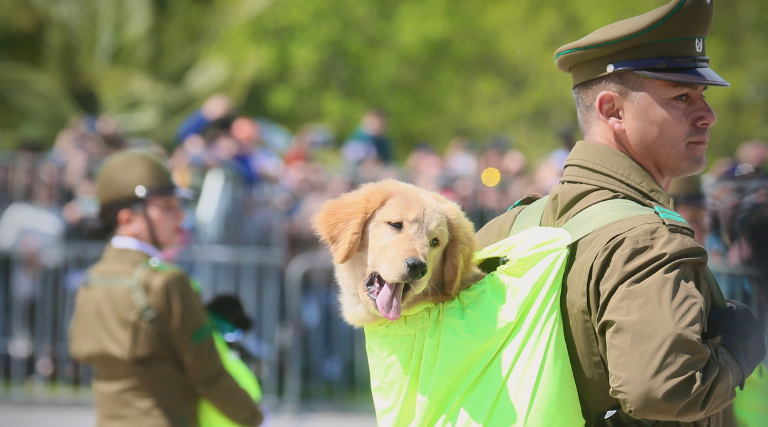 parada militar 6